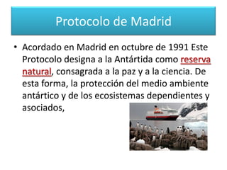 Artículos del Protocolo6)	Información previa por las partes de toda 	expedición, personal y equipo militares 	que se introduzcan en la región.7)	Protección y conservación de los recursos 	vivos. 8)	Abierto a todos los países que reúnan las 	condiciones requeridas.