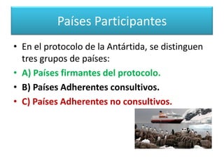 Protocolo de MadridEste Protocolo establece las normas para el tratamiento de los desechos, la protección de la flora y fauna, la evaluación del impacto ambiental, la prevención de la contaminación marina, y establece zonas especiales para preservarlas del hombre y estudiar sus ecosistemas.  