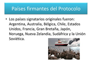 Países ParticipantesEn el protocolo de la Antártida, se distinguen  tres grupos de países:A) Países firmantes del protocolo.B) Países Adherentes consultivos.C) Países Adherentes no consultivos.