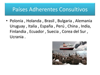 Países firmantes del ProtocoloLos países signatarios originales fueron: Argentina, Australia, Bélgica, Chile, Estados Unidos, Francia, Gran Bretaña, Japón, Noruega, Nueva Zelandia, Sudáfrica y la Unión Soviética.