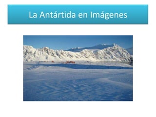 la naturaleza no es reciclableReflexión