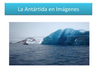 La Antártida en Imágenes