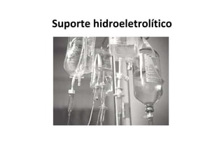 Suporte hidroeletrolítico
 
