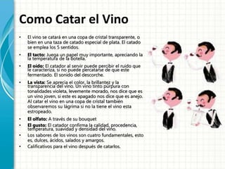 Como Catar el Vino
• El vino se catará en una copa de cristal transparente, o
bien en una taza de catado especial de plata. El catado
se emplea los 5 sentidos.
• El tacto: Juega un papel muy importante, apreciando la
la temperatura de la botella.
• El oído: El catador al servir puede percibir el ruido que
le caracteriza, si no puede percatarse de que este
fermentado. El sonido del descorche.
• La vista: Se aprecia el color, la brillantez y la
transparencia del vino. Un vino tinto púrpura con
tonalidades violeta, levemente morado, nos dice que es
un vino joven, si este es apagado nos dice que es anejo.
Al catar el vino en una copa de cristal también
observaremos su lágrima si no la tiene el vino esta
estropeado.
• El olfato: A través de su bouquet
• El gusto: El catador confirma la calidad, procedencia,
temperatura, suavidad y densidad del vino.
• Los sabores de los vinos son cuatro fundamentales, esto
es, dulces, ácidos, salados y amargos.
• Calificativos para el vino después de catarlos.
 