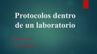Protocolos dentro
de un laboratorio
POR: ASHLEY CHÁVEZ
Y
MANUEL RODRIGUEZ
 