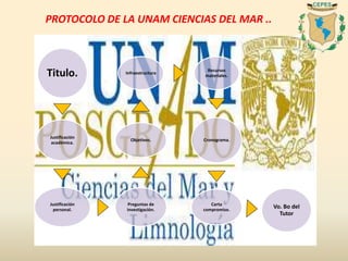 Titulo.
Justificación
académica.
Justificación
personal.
Preguntas de
investigación.
Objetivos.
Infraestructura
Recursos
materiales.
Cronograma.
Carta
compromiso.
Vo. Bo del
Tutor
PROTOCOLO DE LA UNAM CIENCIAS DEL MAR ..
 