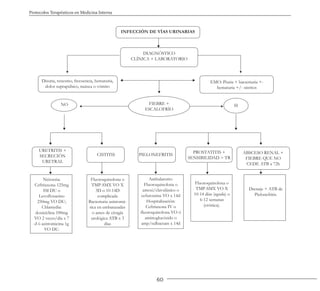 60
Protocolos Terapéuticos en Medicina Interna
INFECCIÓN DE VÍAS URINARIAS
DIAGNÓSTICO
CLÍNICA + LABORATORIO
Disuria, tenesmo, frecuencia, hematuria,
dolor suprapúbico, naúsea o vómito
EMO: Piuria + bacteriuria +-
hematuria +/- nitritos
FIEBRE +
ESCALOFRÍO
NO SI
URETRITIS +
SECRECIÓN
URETRAL
CISTITIS PIELONEFRITIS
PROSTATITIS +
SENSIBILIDAD > TR
ABSCESO RENAL +
FIEBRE QUE NO
CEDE ATB a 72h
Neisseria:
Ceftriaxona 125mg
IM DU o
Levofloxacino
250mg VO DU;
Chlamydia:
doxiciclina 100mg
VO 2 veces/día x 7
d ó azitromicina 1g
VO DU.
Fluoroquinolona o
TMP-SMX VO X
3D o 10-14D
complicada
Bacteriuria asintomá-
tica en embarazadas
o antes de cirugía
urológica ATB x 3
días
Ambulatorio:
Fluoroquinolona o
amoxi/clavulánico o
cefuroxima VO x 14d
Hospitalización:
Ceftriaxona IV o
fluoroquinolona VO ó
aminoglucósido o
amp/sulbactam x 14d
Fluoroquinolona o
TMP-SMX VO X
10-14 días (aguda) o
6-12 semanas
(crónica).
Drenaje + ATB de
Pielonefritis.
 
