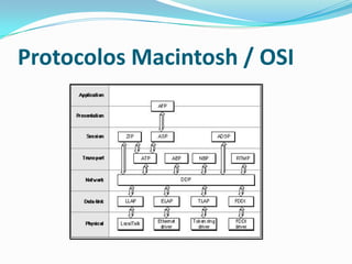 Protocolos Macintosh / OSI
 