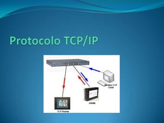 Protocolo TCP/IP 