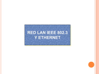 RED LAN IEEE 802.3
  Y ETHERNET
 