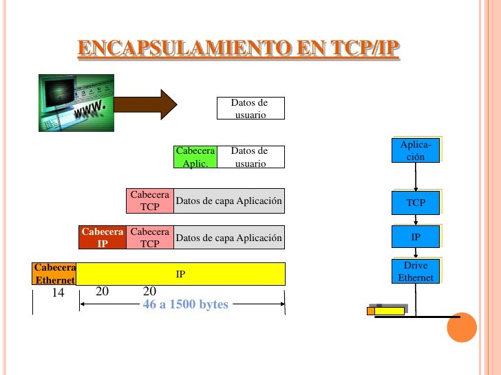 Protocolo TCP/IP Protocolo TCP/IP