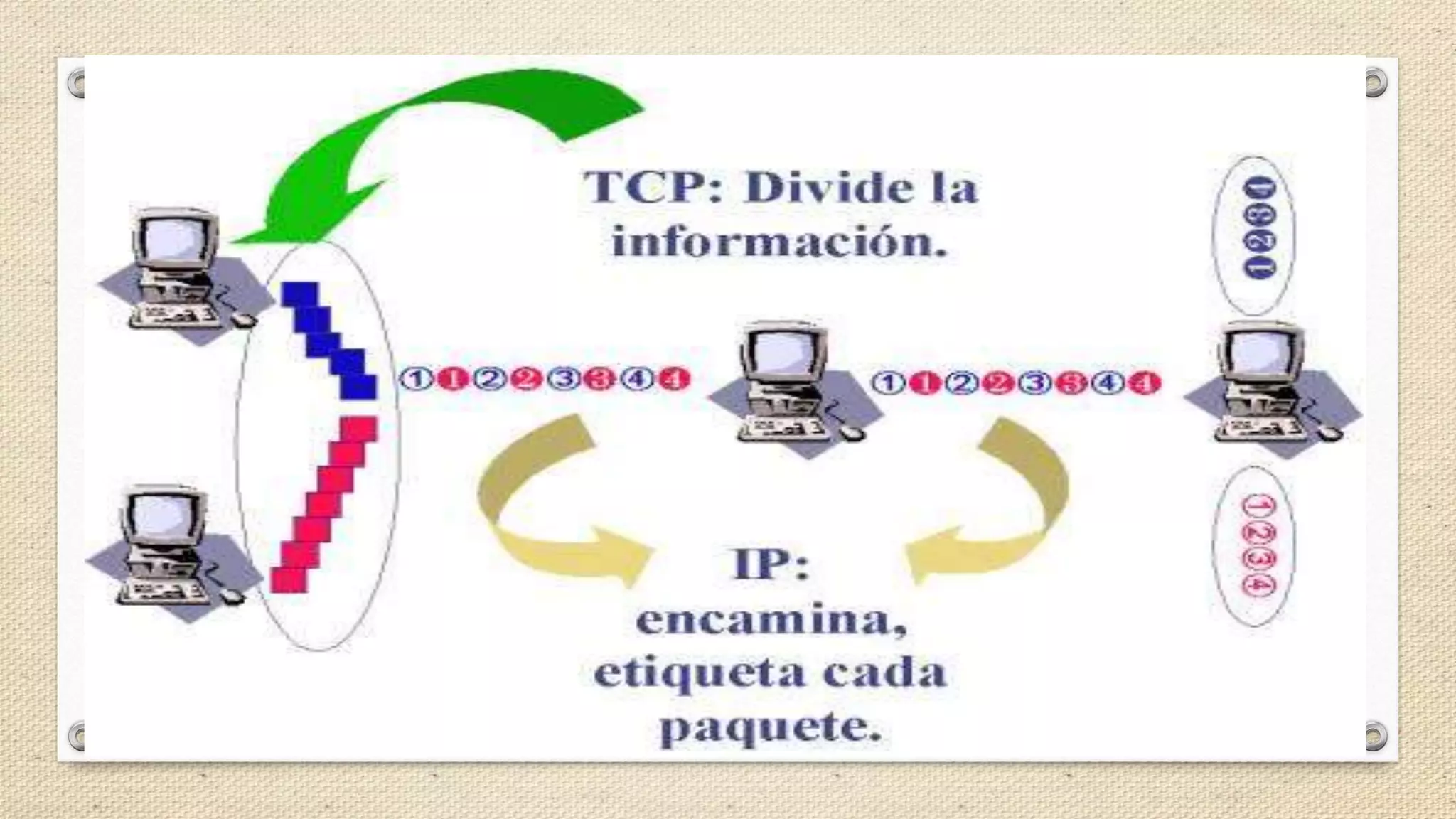 Protocolo tcp srj