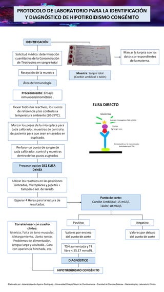 PROTOCOLO DE LABORATORIO PARA LA IDENTIFICACIÓN
Y DIAGNÓSTICO DE HIPOTIROIDISMO CONGÉNITO
Marcar la tarjeta con los
datos correspondientes
de la materna.
IDENTIFICACIÓN
Solicitud médica: determinación
cuantitativa de la Concentración
de Tirotropina en sangre total
Recepción de la muestra
Área de Inmunología
Procedimiento: Ensayo
inmunoenzimométrico .
Muestra: Sangre total
(Cordón umbilical o talón)
Llevar todos los reactivos, los sueros
de referencia y los controles a
temperatura ambiente (20-27ºC).
Marcar los pozos de la microplaca para
cada calibrador, muestras de control y
de paciente para que sean ensayadas en
duplicado.
Perforar un punto de sangre de
cada calibrador, control y muestras
dentro de los pozos asignados
Preparar equipo DS2 ELISA
DYNEX
Ubicar los reactivos en las posiciones
indicadas, microplacas y pipetas +
tampón o sol. de lavado
Esperar 4 Horas para la lectura de
resultados.
Punto de corte:
Cordón Umbilical: 15 mUl/L
Talón: 10 mUi/L
Positivo Negativo
Valores por encima
del punto de corte
Valores por debajo
del punto de corte
TSH aumentada y T4
libre < 55.17 mmol/L
DIAGNÓSTICO
HIPOTIROIDISMO CONGÉNITO
Correlacionar con cuadro
clínico:
Ictericia, Falta de tono muscular,
Aletargamiento, Llanto ronco,
Problemas de alimentación,
Lengua larga y abultada., Cara
con apariencia hinchada, etc.
Elaborado por: Juliana Alejandra Aguirre Rodríguez – Universidad Colegio Mayor de Cundinamarca – Facultad de Ciencias Básicas – Bacteriología y Laboratorio Clínico.
Ag Sangre seca
Estreptavidina y Ac monoclonales
biotinilados anti-TSH
Enzima
Sustrato Cromogénico TMB y H2O2
Solución Stop
ELISA DIRECTO
 