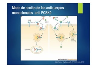 Protocolo Utilización de Fármacos anti PCSK9 en AGSCG | PDF