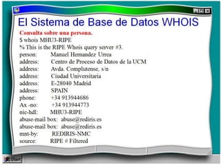 Protocolo whois final