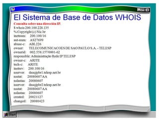 Protocolo whois final