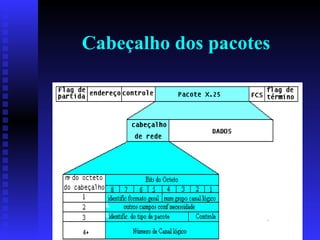 Cabeçalho dos pacotes 