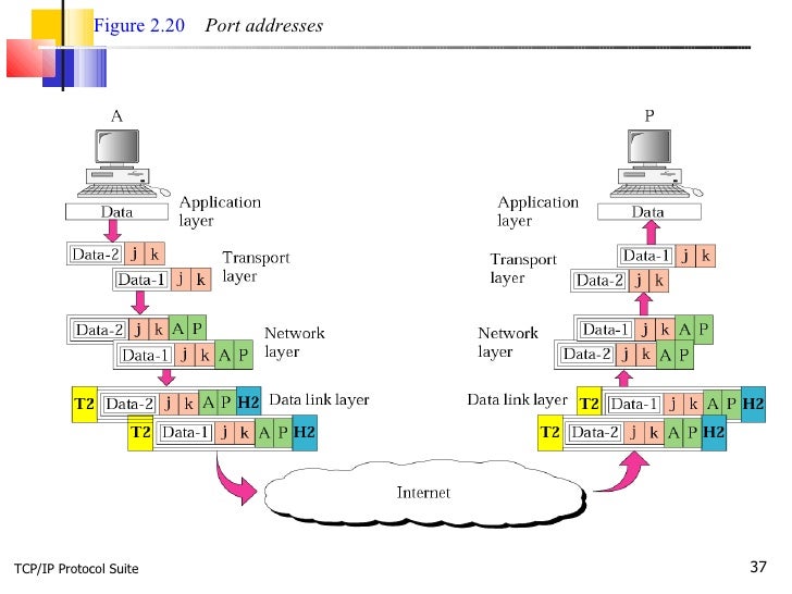 Protocol Ppt[1]