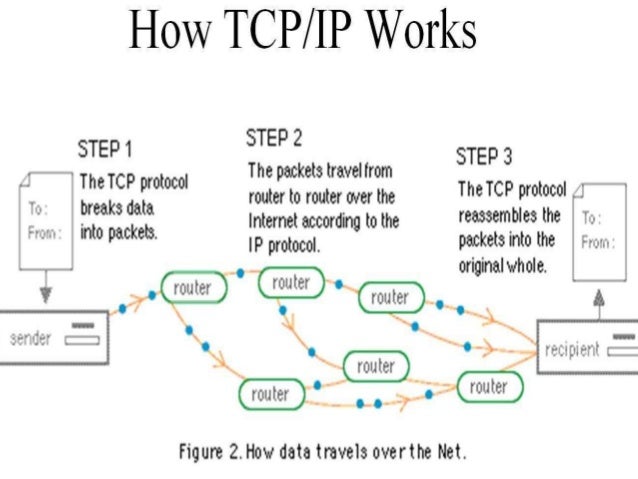 Protocols