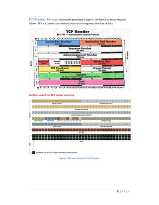 TCP Header Format: this header generated at layer 4, the format of the protocol as 
follows. TCP is a connection oriented protocol that regulates the flow of data. 
12 | P a g e 
Another view if the TCP header structure, 
Figure 5. The basic structure of a TCP packet 
 