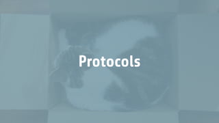 Protocols
 