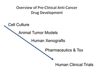 Overview of Pre-Clinical Anti-Cancer
Drug Development
Cell Culture
Human Xenografts
Animal Tumor Models
Pharmaceutics & Tox
Human Clinical Trials
 