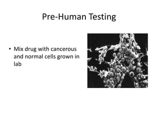 Pre-Human Testing
• Mix drug with cancerous
and normal cells grown in
lab
 