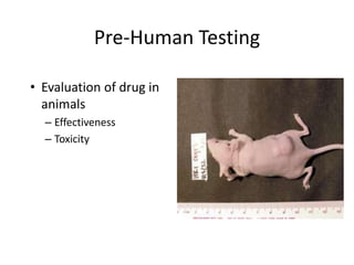 Pre-Human Testing
• Evaluation of drug in
animals
– Effectiveness
– Toxicity
 