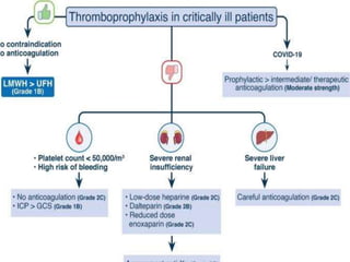 THROMBOPROPHYLAXIS
 