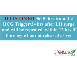 IUI IS TIMED 36-40 hrs from the
HCG Trigger/24 hrs after LH surge
and will be repeated within 12 hrs if
the oocyte has not released as yet
 