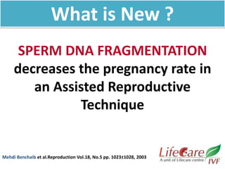SPERM DNA FRAGMENTATION
decreases the pregnancy rate in
an Assisted Reproductive
Technique
Mehdi Benchaib et al.Reproduction Vol.18, No.5 pp. 1023±1028, 2003
What is New ?
 