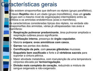 Características gerais
Não existem sinapomorfias que definam os répteis (grupo parafilético).
O táxon Reptilia não é um clado (grupo monofilético), mas um grado
(grupo com o mesmo nível de organização) intermediário entre os
anfíbios e os amniotas endotérmicos (aves e mamíferos).
As características consideradas típicas dos répteis, na verdade são
sinapomorfias dos amniotas, várias já ultrapassadas nas aves e
mamíferos:
– Respiração pulmonar predominante, área pulmonar ampliada e
respiração cutânea pouco significante.
– Fertilização interna, presença de órgão copulador.
– Maioria ovípara; ovos amnióticos com casca.
– Garras nas pontas dos dedos.
– Cornificação da pele, com poucas glândulas mucosas.
– Esqueleto bem ossificado e forte e 2 vértebras sacrais para
suportar a cintura pélvica.
– Maior atividade metabólica, com manutenção de uma temperatura
córporea elevada por termorregulação.
– Divisão mais completa do coração, reduzindo a mistura de
sangue oxigenado e não-oxigenado.

 