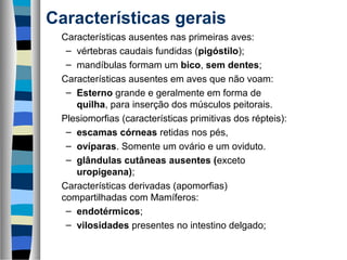 Características gerais
Características ausentes nas primeiras aves:
– vértebras caudais fundidas (pigóstilo);
– mandíbulas formam um bico, sem dentes;
Características ausentes em aves que não voam:
– Esterno grande e geralmente em forma de
quilha, para inserção dos músculos peitorais.
Plesiomorfias (características primitivas dos répteis):
– escamas córneas retidas nos pés,
– ovíparas. Somente um ovário e um oviduto.
– glândulas cutâneas ausentes (exceto
uropigeana);
Características derivadas (apomorfias)
compartilhadas com Mamíferos:
– endotérmicos;
– vilosidades presentes no intestino delgado;

 