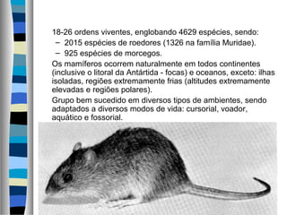 18-26 ordens viventes, englobando 4629 espécies, sendo:
– 2015 espécies de roedores (1326 na família Muridae).
– 925 espécies de morcegos.
Os mamíferos ocorrem naturalmente em todos continentes
(inclusive o litoral da Antártida - focas) e oceanos, exceto: ilhas
isoladas, regiões extremamente frias (altitudes extremamente
elevadas e regiões polares).
Grupo bem sucedido em diversos tipos de ambientes, sendo
adaptados a diversos modos de vida: cursorial, voador,
aquático e fossorial.

      

 