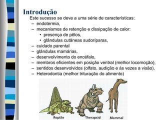 Introdução

Este sucesso se deve a uma série de características:
– endotermia,
– mecanismos de retenção e dissipação de calor:
• presença de pêlos,
• glândulas cutâneas sudoríparas,
– cuidado parental
– glândulas mamárias.
– desenvolvimento do encéfalo,
– membros eficientes em posição ventral (melhor locomoção),
– sentidos desenvolvidos (olfato, audição e às vezes a visão),
– Heterodontia (melhor trituração do alimento)

 