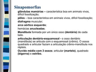 Sinapomorfias
glândulas mamárias – característica boa em animais vivos,
difícil fossilização;
pêlos – boa característica em animais vivos, difícil fossilização;
diafragma muscular;
arco aórtico esquerdo;
hemácias anucleadas;
Mandíbula formada por um único osso (dentário) de cada
lado.
articulação dentário-esquamosal - o osso dentário
(mandíbula) se articula com o esquamosal (crânio). O ossos
quadrado e articular faziam a articulação crânio-mandíbula nos
répteis.
Ouvido médio com 3 ossos: articular (martelo), quadrado
(bigorna) e estribo.

 