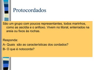Protocordados
São um grupo com poucos representantes, todos marinhos,
como as ascídia e o anfioxo. Vivem no litoral, enterrados na
areia ou fixos às rochas.
Responda:
A- Quais são as características dos cordados?
B- O que é notocorda?

 