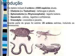 Introdução
Os répteis incluem 4 ordens e 6500 espécies atuais.
– Chelonia (ou Testudines) - tartarugas e jabutis
– Sphenodonta (ou Rhyncocephalia) - lagarto tuatara.
– Squamata - cobras, lagartos e anfisbenas
– Crocodylia - crocodilos e jacarés.
Grande parte do grupo foi extinto: 25 ordens extintas, incluindo os
dinossauros.
 