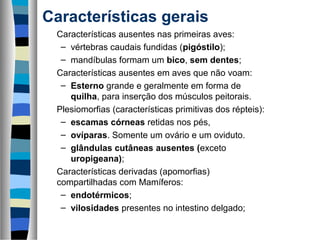 Características gerais
Características ausentes nas primeiras aves:
– vértebras caudais fundidas (pigóstilo);
– mandíbulas formam um bico, sem dentes;
Características ausentes em aves que não voam:
– Esterno grande e geralmente em forma de
quilha, para inserção dos músculos peitorais.
Plesiomorfias (características primitivas dos répteis):
– escamas córneas retidas nos pés,
– ovíparas. Somente um ovário e um oviduto.
– glândulas cutâneas ausentes (exceto
uropigeana);
Características derivadas (apomorfias)
compartilhadas com Mamíferos:
– endotérmicos;
– vilosidades presentes no intestino delgado;
 