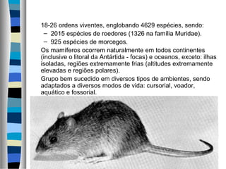 18-26 ordens viventes, englobando 4629 espécies, sendo:
– 2015 espécies de roedores (1326 na família Muridae).
– 925 espécies de morcegos.
Os mamíferos ocorrem naturalmente em todos continentes
(inclusive o litoral da Antártida - focas) e oceanos, exceto: ilhas
isoladas, regiões extremamente frias (altitudes extremamente
elevadas e regiões polares).
Grupo bem sucedido em diversos tipos de ambientes, sendo
adaptados a diversos modos de vida: cursorial, voador,
aquático e fossorial.
      
 