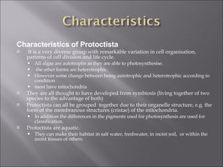 <ul><li>Characteristics of Protoctista </li></ul><ul><li>  It is a very diverse group with remarkable variation in cell or...