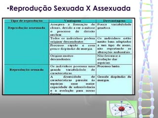 •Reprodução Sexuada X Assexuada
 