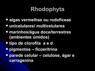 Rhodophyta
 algas vermelhas ou rodofíceas
 unicelulares/ multicelulares
 marinhos/água doce/terrestres
  (ambientes úmidos)
 tipo de clorofila a e d
 pigmentos – ficoeritrina
 parede celular – celulose, ágar e
  carragenina
 