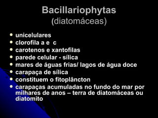 Bacillariophytas
               (diatomáceas)
   unicelulares
   clorofila a e c
   carotenos e xantofilas
   parede celular - sílica
   mares de águas frias/ lagos de água doce
   carapaça de sílica
   constituem o fitoplâncton
   carapaças acumuladas no fundo do mar por
    milhares de anos – terra de diatomáceas ou
    diatomito
 