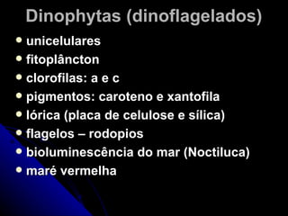 Dinophytas (dinoflagelados)
 unicelulares
 fitoplâncton
 clorofilas: a e c
 pigmentos: caroteno e xantofila
 lórica (placa de celulose e sílica)
 flagelos – rodopios
 bioluminescência do mar (Noctiluca)
 maré vermelha
 