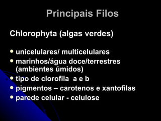 Principais Filos
Chlorophyta (algas verdes)

 unicelulares/ multicelulares
 marinhos/água doce/terrestres
  (ambientes úmidos)
 tipo de clorofila a e b
 pigmentos – carotenos e xantofilas
 parede celular - celulose
 