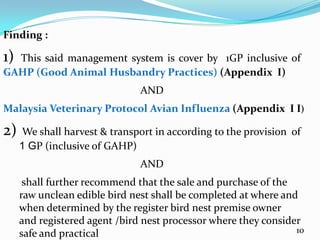 Finding :

1)This said management system is cover by 1GP inclusive of
GAHP (Good Animal Husbandry Practices) (Appendix Ι)
                               AND
Malaysia Veterinary Protocol Avian Influenza (Appendix Ι Ι)

2)   We shall harvest & transport in according to the provision of
     1 GP (inclusive of GAHP)
                               AND
      shall further recommend that the sale and purchase of the
     raw unclean edible bird nest shall be completed at where and
     when determined by the register bird nest premise owner
     and registered agent /bird nest processor where they consider
     safe and practical                                          10
 