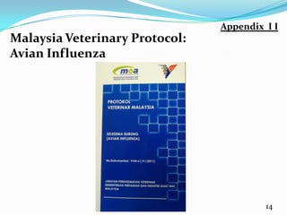 Appendix Ι Ι
Malaysia Veterinary Protocol:
Avian Influenza




                                         14
 