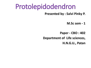 Protolepidodendron
Presented by : Salvi Pinky P.
M.Sc sem - 1
Paper - CBO : 402
Department of Life sciences,
H.N.G.U., Patan
 