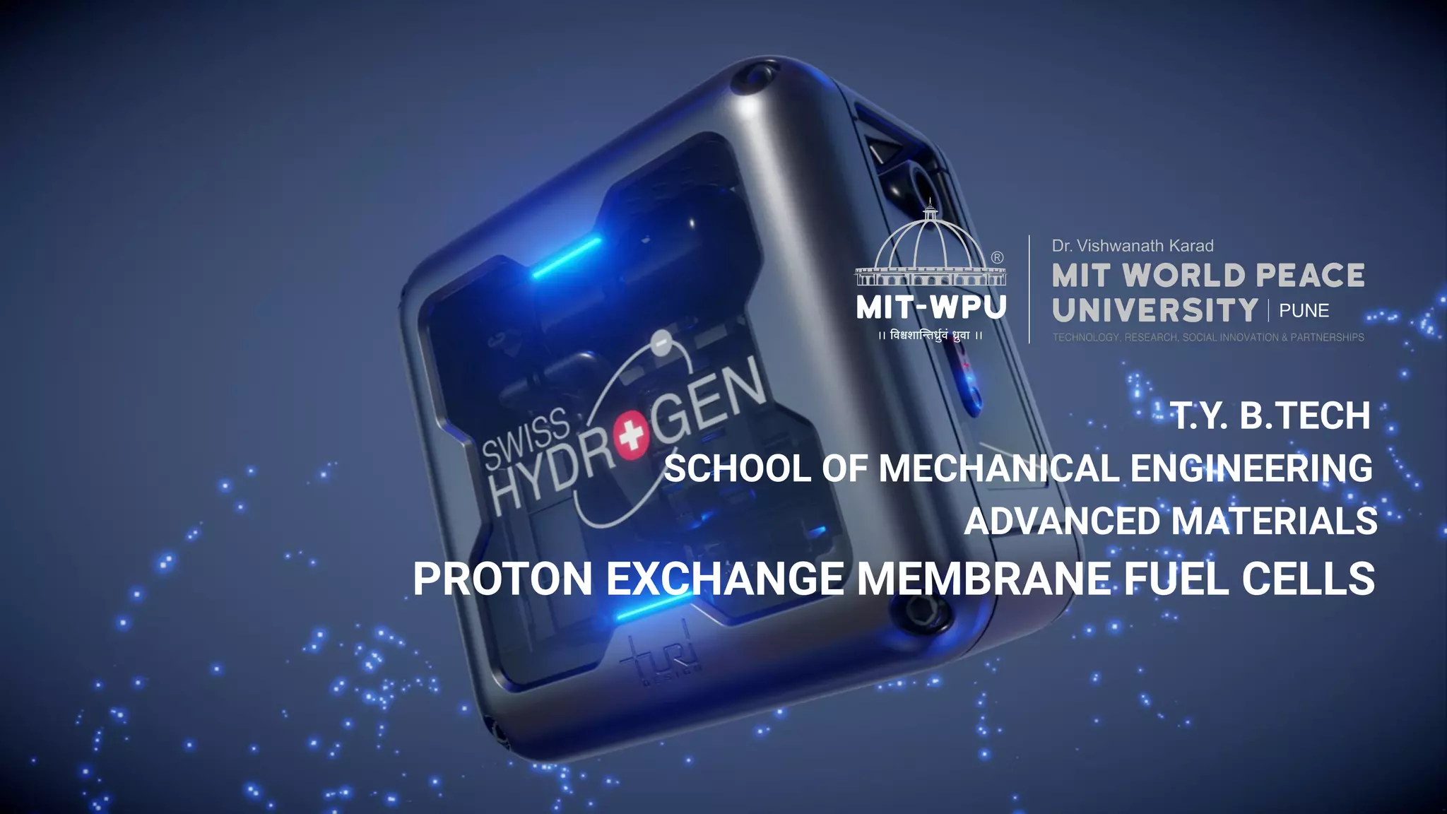 Proton exchange membrane fuel cells | PDF